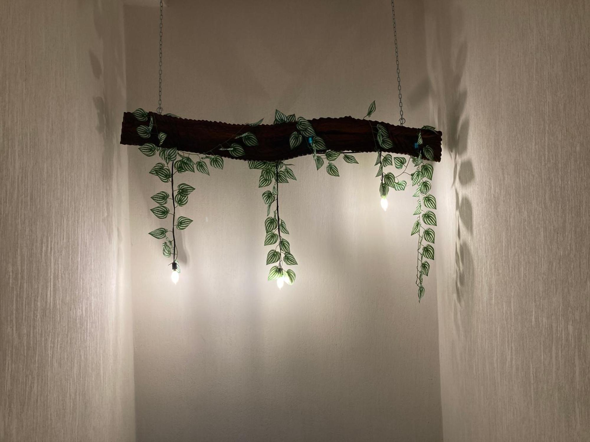 הוילה Naranjo Casa Vacacional Familiar מראה חיצוני תמונה